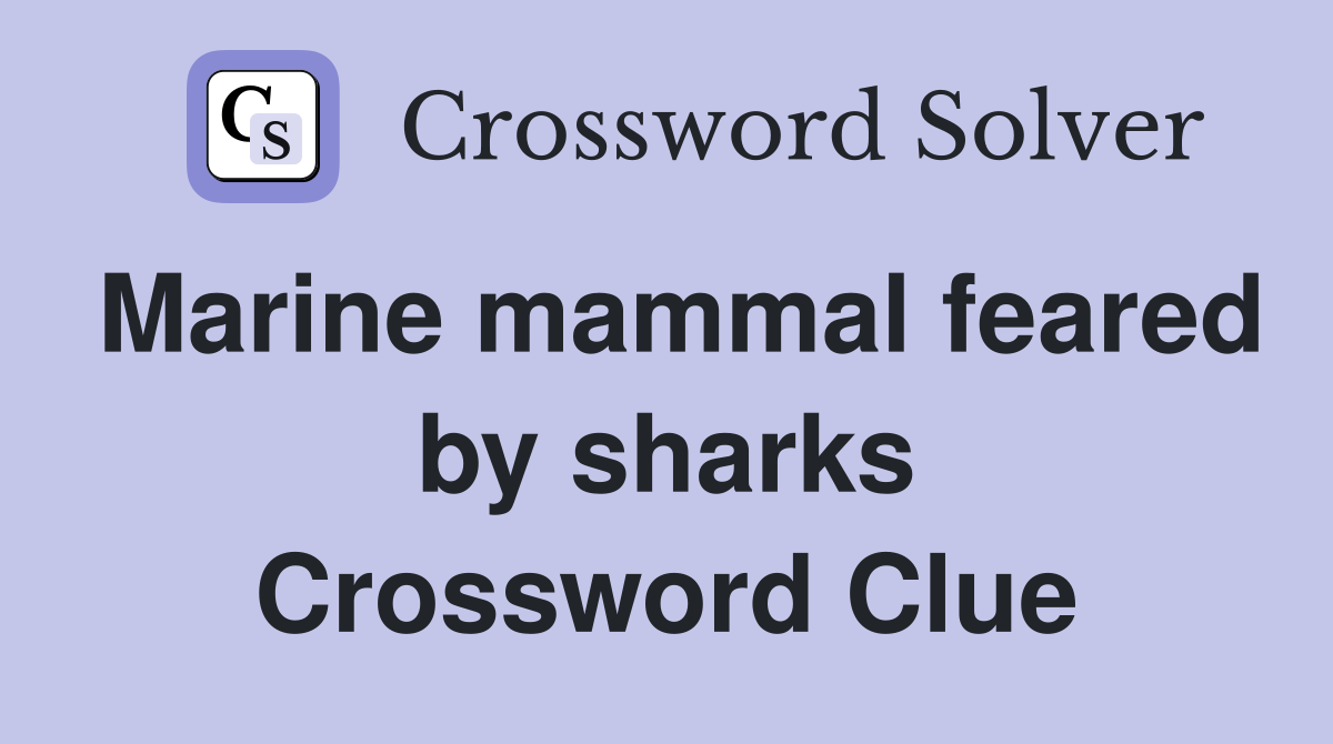 Marine mammal feared by sharks Crossword Clue