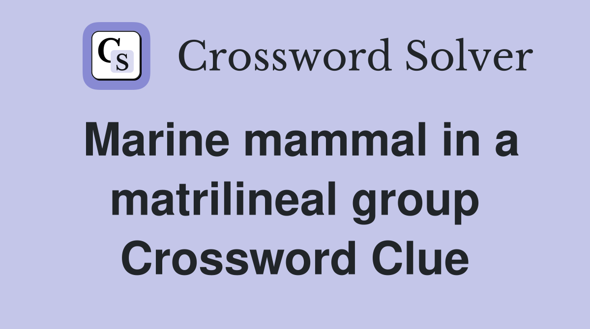 Marine mammal in a matrilineal group Crossword Clue