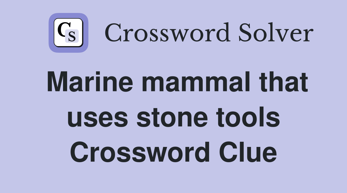 Marine mammal that uses stone tools Crossword Clue