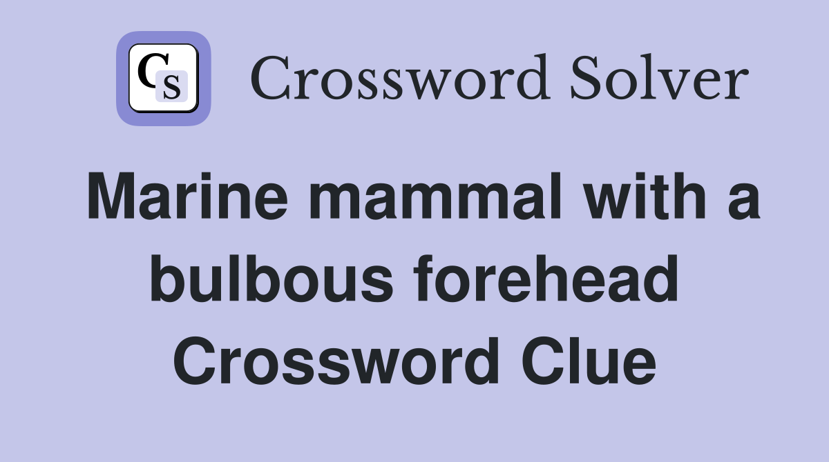 Marine mammal with a bulbous forehead Crossword Clue