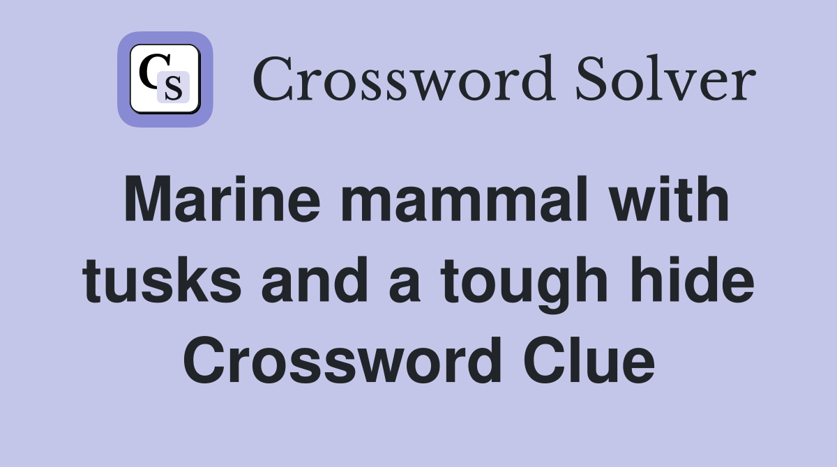 Marine mammal with tusks and a tough hide Crossword Clue