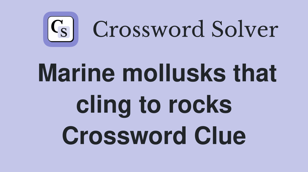 Marine mollusks that cling to rocks Crossword Clue
