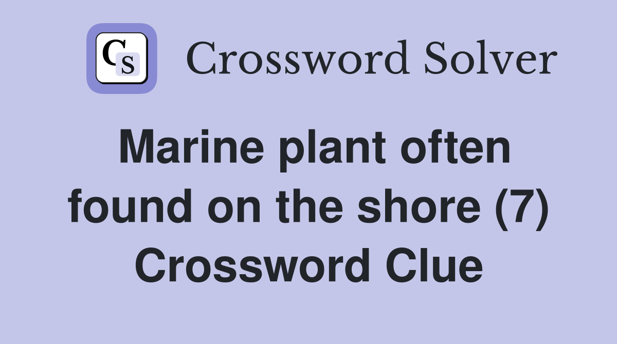 Marine plant often found on the shore (7) Crossword Clue