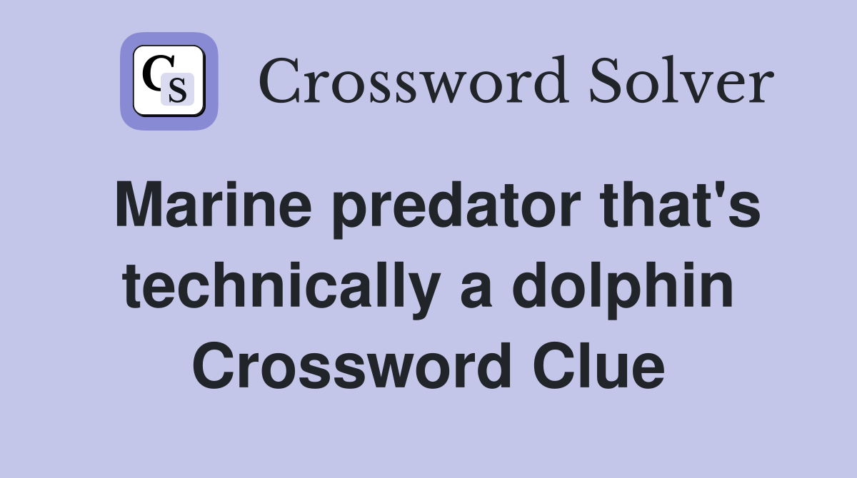 Marine predator that's technically a dolphin Crossword Clue
