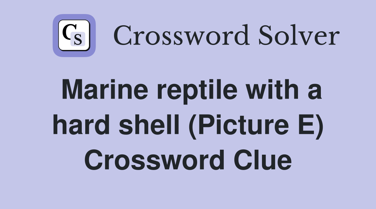 Marine reptile with a hard shell (Picture E) Crossword Clue