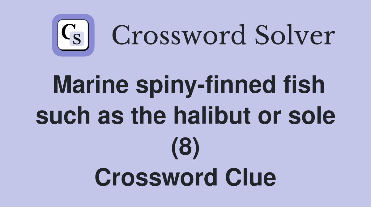 Marine spiny-finned fish such as the halibut or sole (8) Crossword Clue