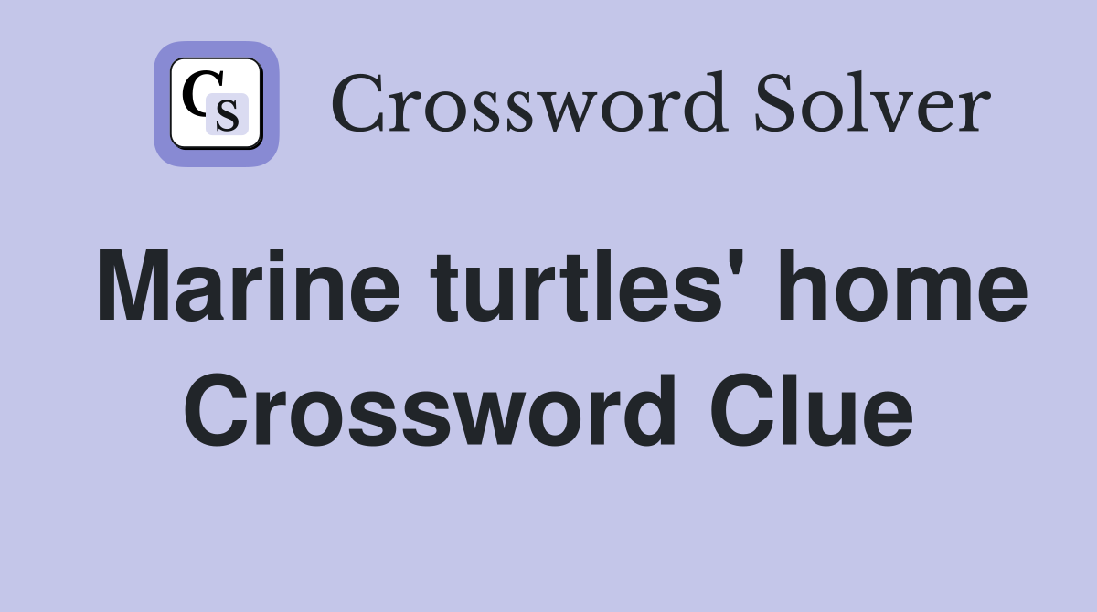 Marine turtles' home Crossword Clue