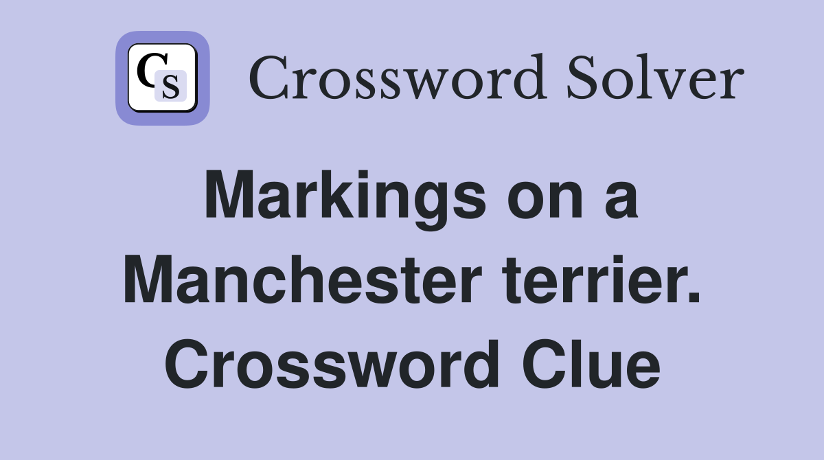Markings on a Manchester terrier. Crossword Clue