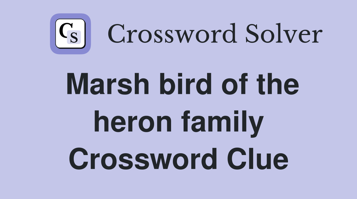 Marsh bird of the heron family Crossword Clue