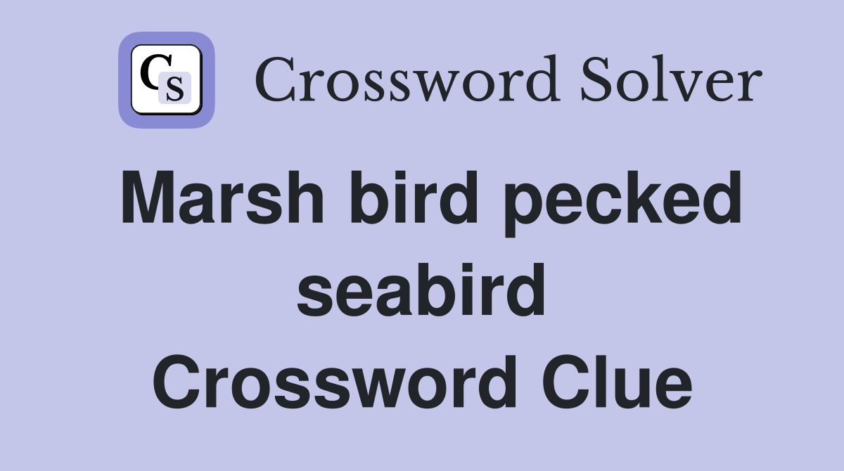 Marsh bird pecked seabird Crossword Clue