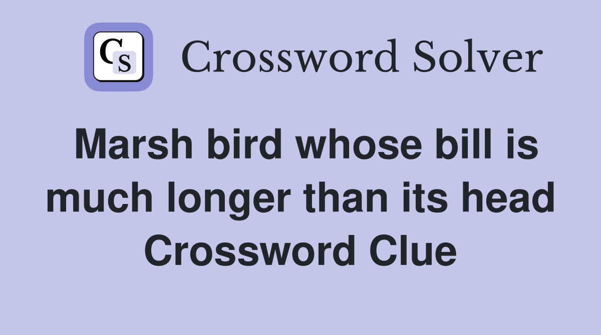 Marsh bird whose bill is much longer than its head Crossword Clue