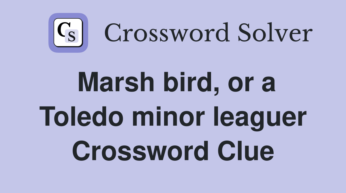 Marsh bird, or a Toledo minor leaguer Crossword Clue