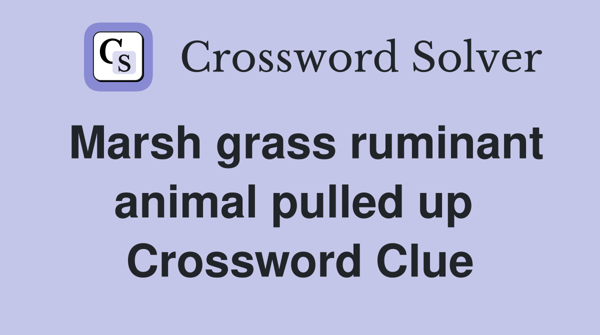 Marsh grass ruminant animal pulled up  Crossword Clue
