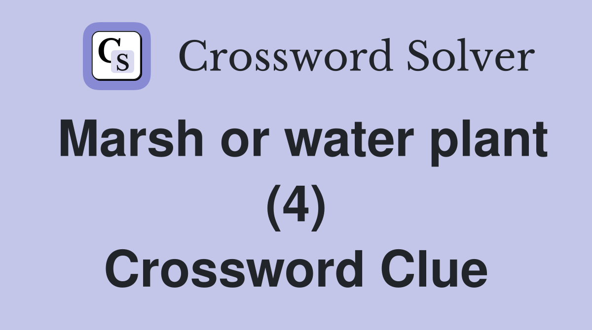 Marsh or water plant (4) Crossword Clue
