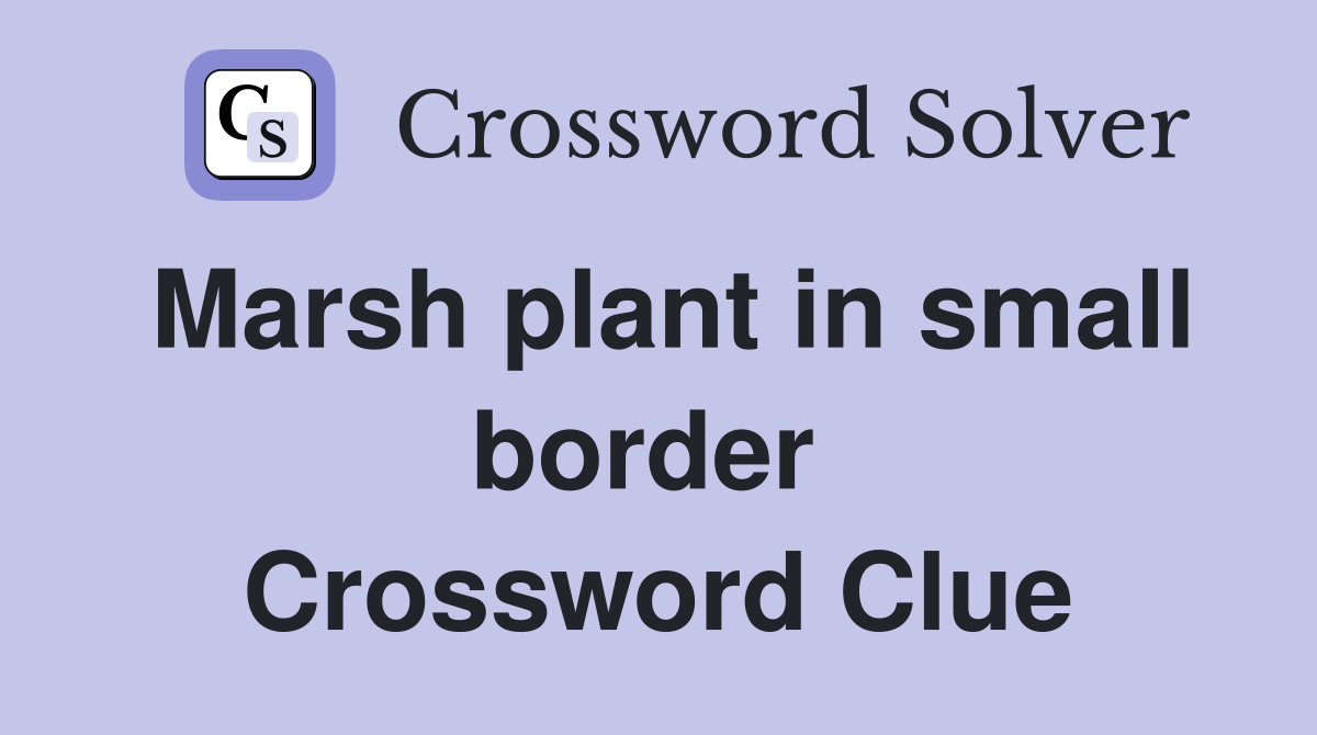 Marsh plant in small border  Crossword Clue