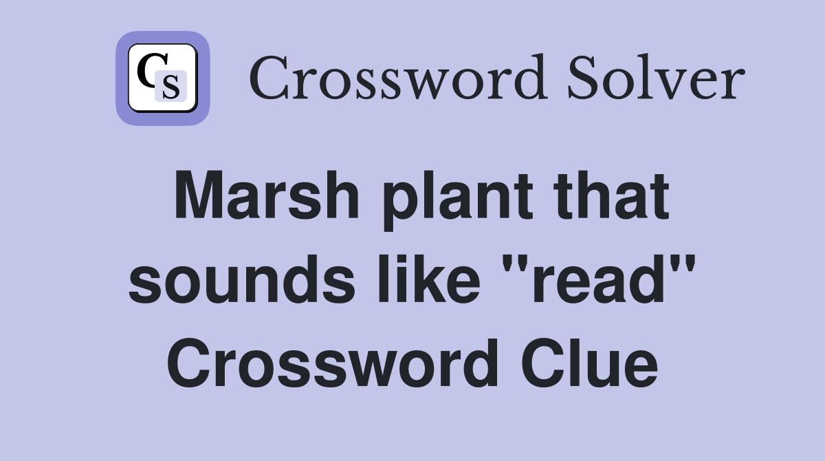 Marsh plant that sounds like "read" Crossword Clue