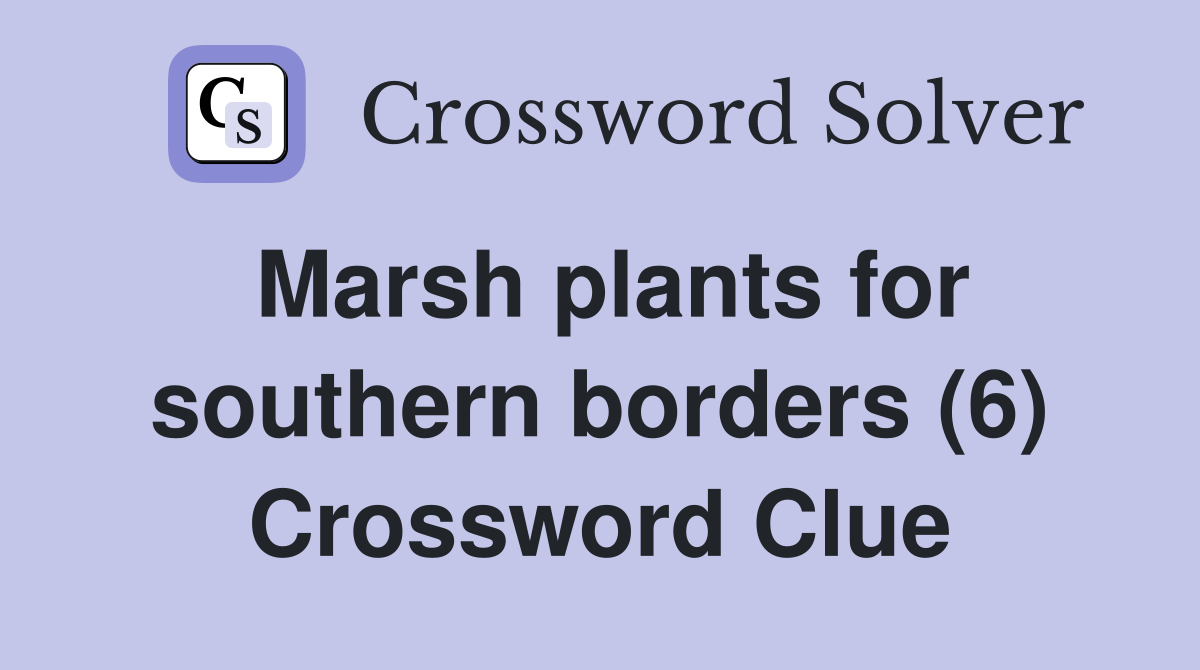 Marsh plants for southern borders (6) Crossword Clue