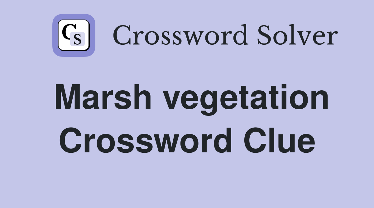 Marsh vegetation Crossword Clue