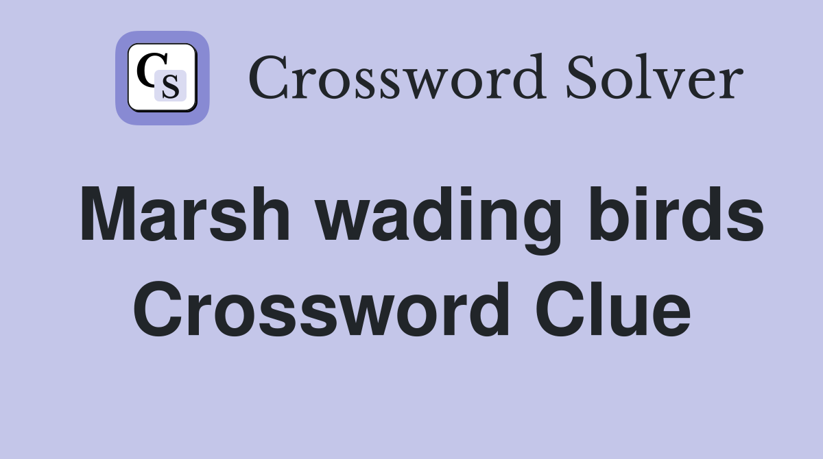 Marsh wading birds Crossword Clue