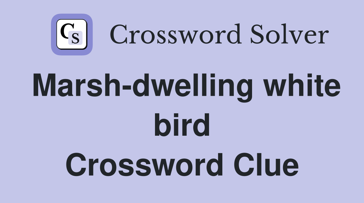 Marsh-dwelling white bird Crossword Clue