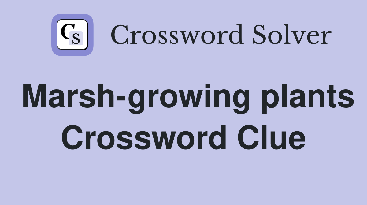 Marsh-growing plants Crossword Clue