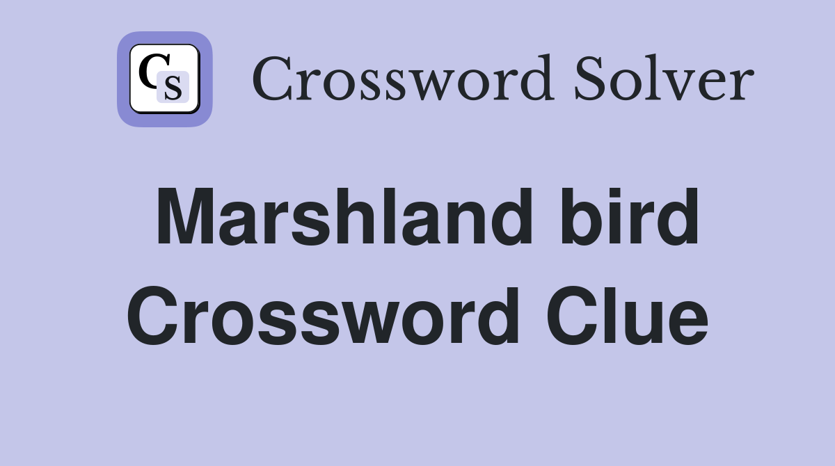Marshland bird Crossword Clue