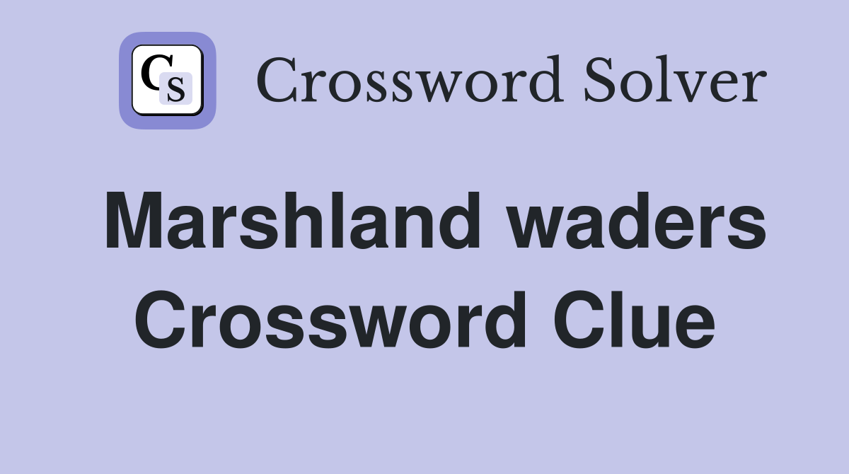 Marshland waders Crossword Clue