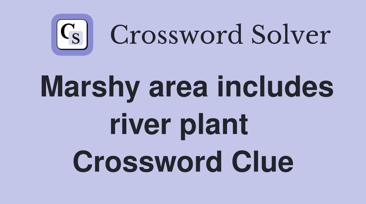 Marshy area includes river plant  Crossword Clue