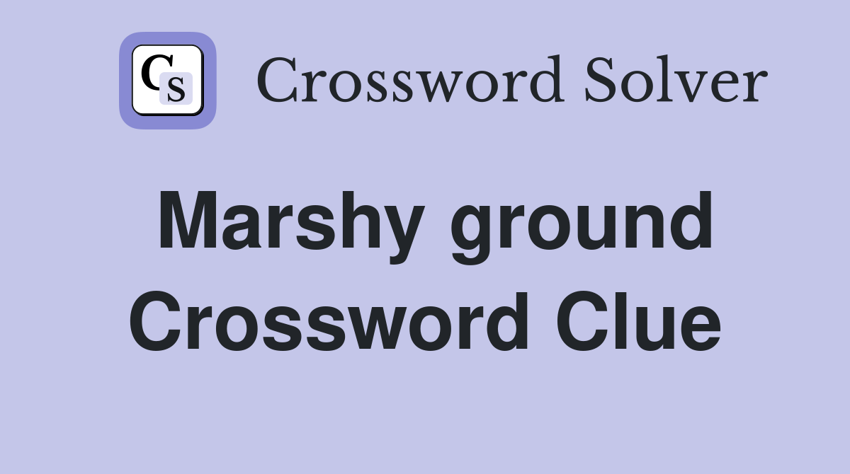 Marshy ground Crossword Clue
