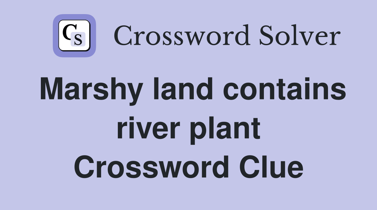 Marshy land contains river plant Crossword Clue