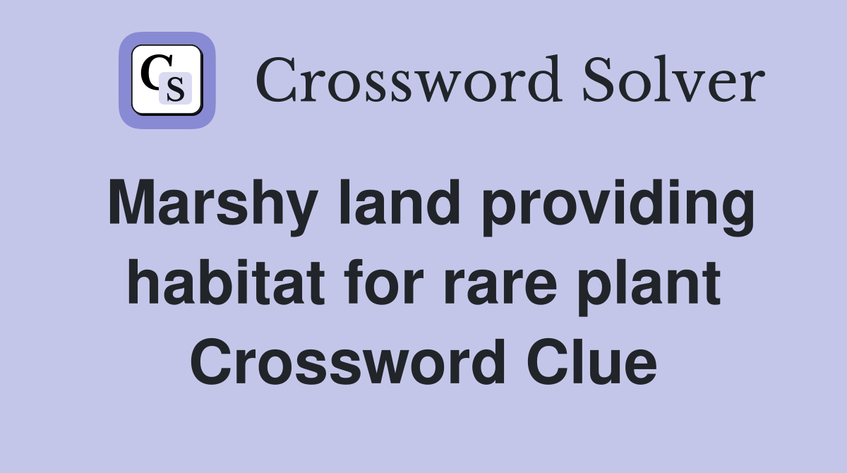 Marshy land providing habitat for rare plant Crossword Clue