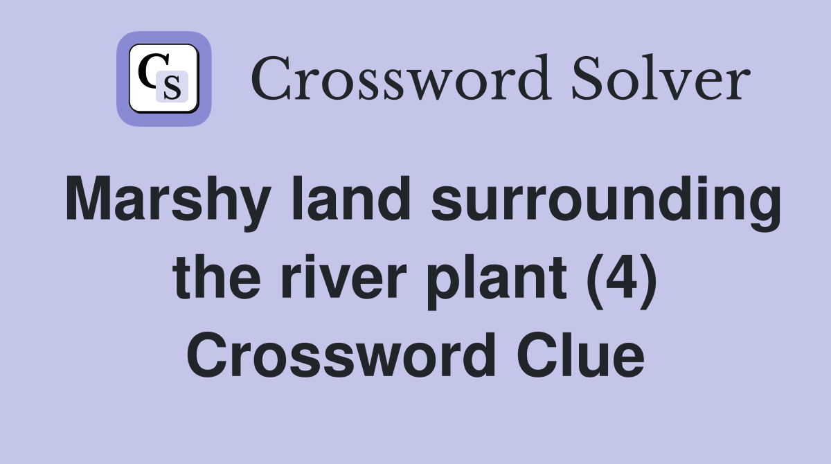 Marshy land surrounding the river plant (4) Crossword Clue