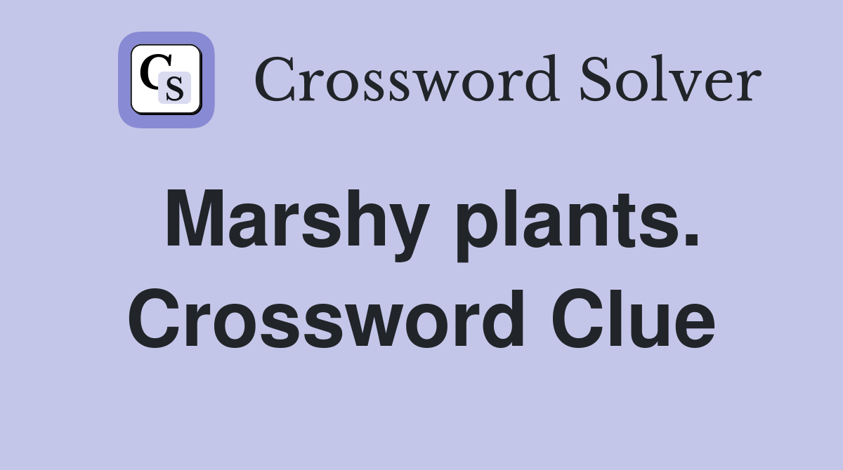 Marshy plants. Crossword Clue