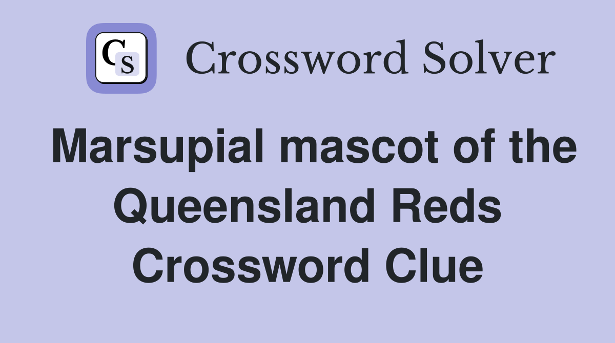 Marsupial mascot of the Queensland Reds Crossword Clue