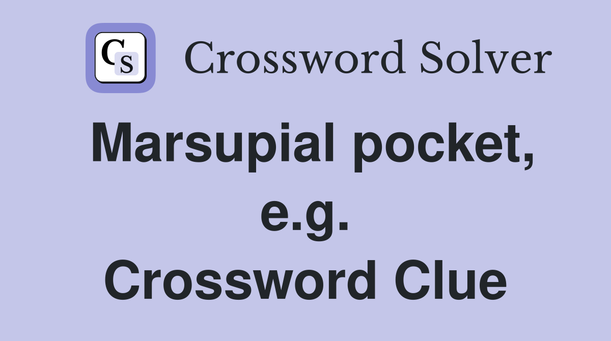 Marsupial pocket, e.g. Crossword Clue