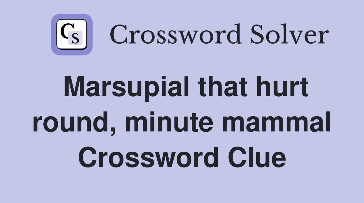Marsupial that hurt round, minute mammal Crossword Clue