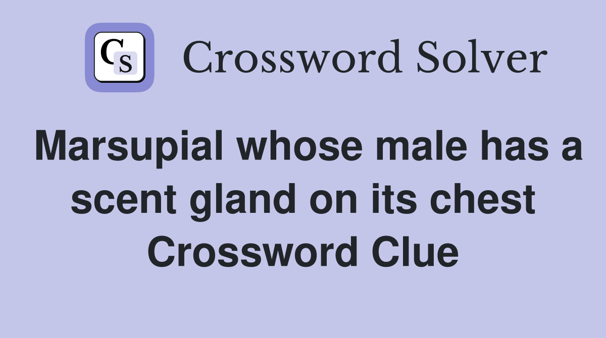 Marsupial whose male has a scent gland on its chest Crossword Clue