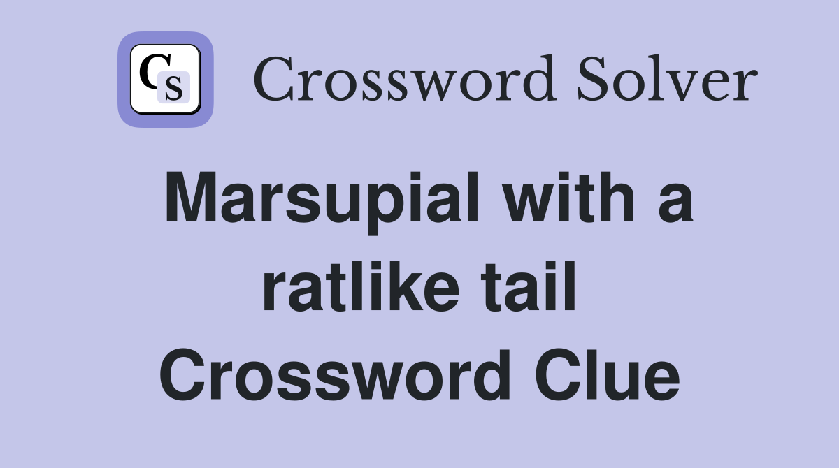 Marsupial with a ratlike tail Crossword Clue