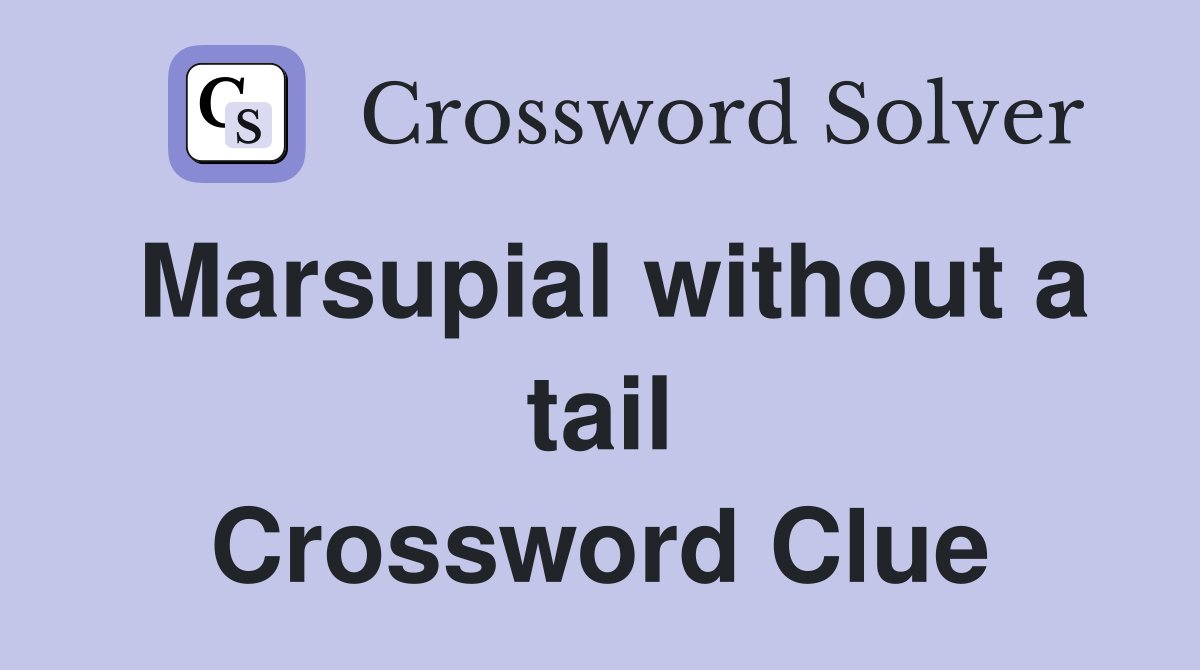 Marsupial without a tail Crossword Clue