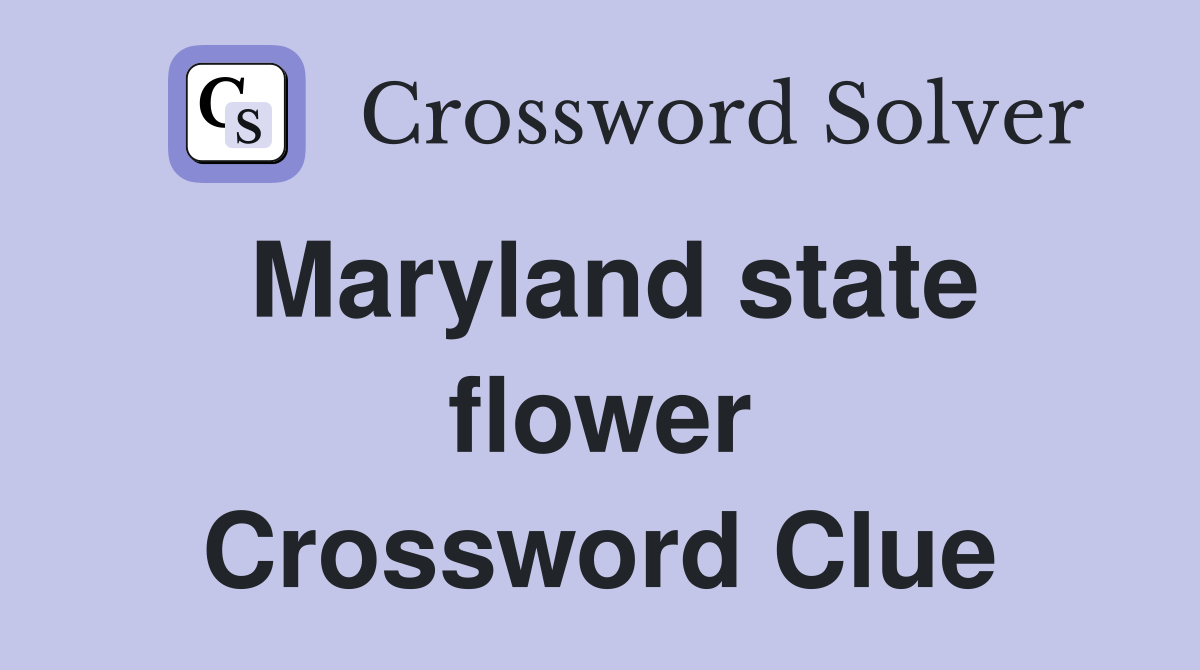 Maryland state flower Crossword Clue