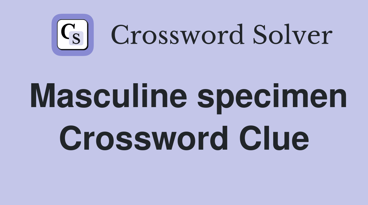 Masculine specimen Crossword Clue