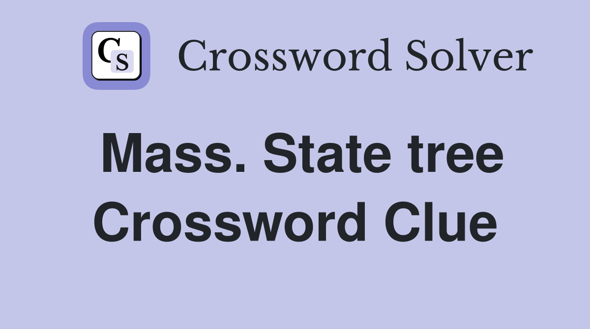 Mass. State tree Crossword Clue