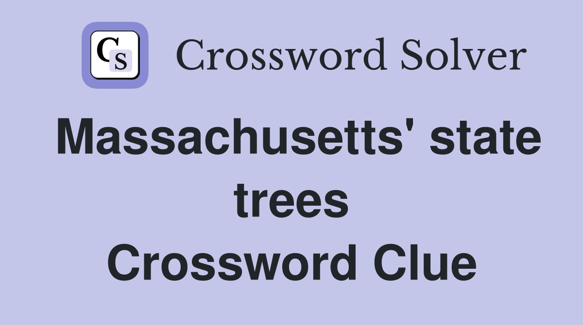 Massachusetts' state trees Crossword Clue
