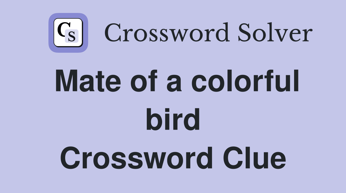 Mate of a colorful bird Crossword Clue