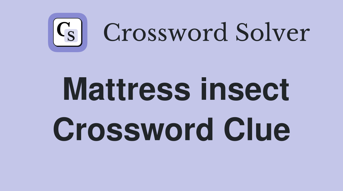 Mattress insect Crossword Clue