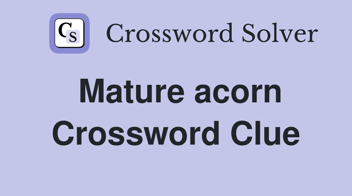 Mature acorn Crossword Clue