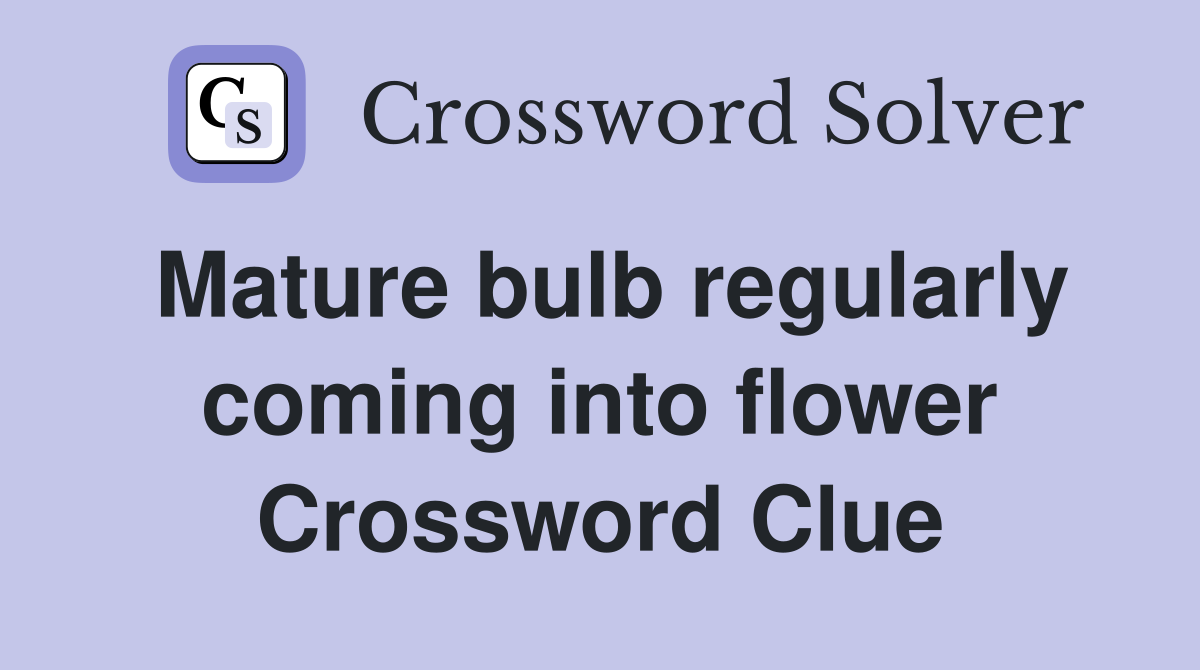 Mature bulb regularly coming into flower Crossword Clue