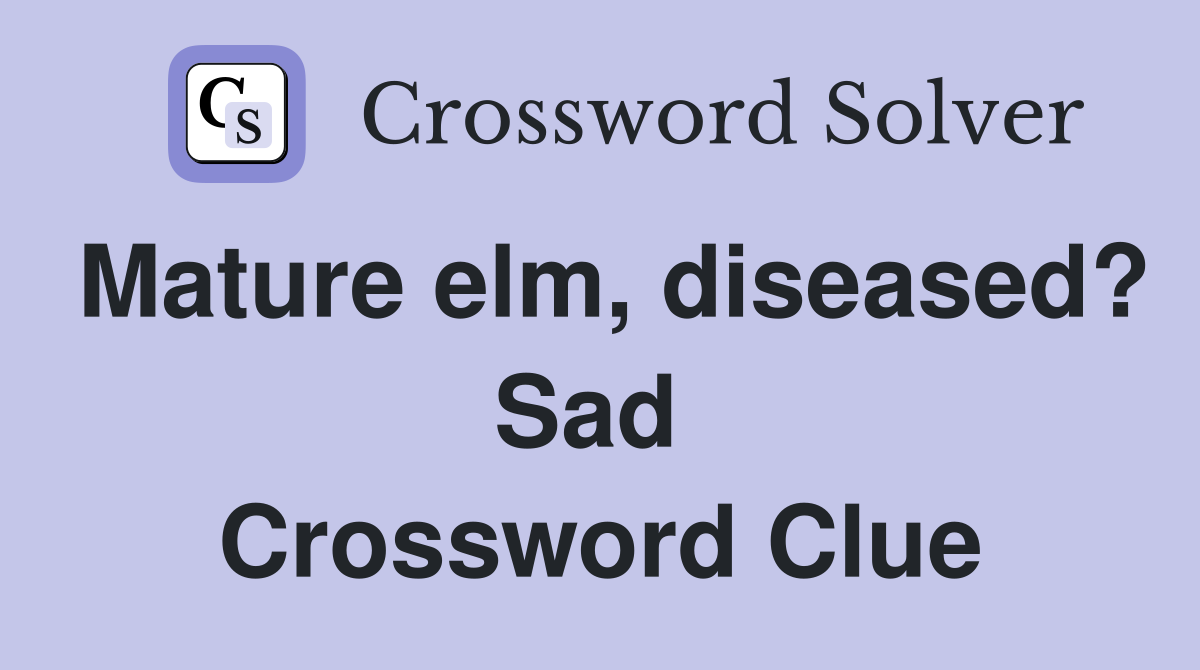 Mature elm, diseased? Sad  Crossword Clue