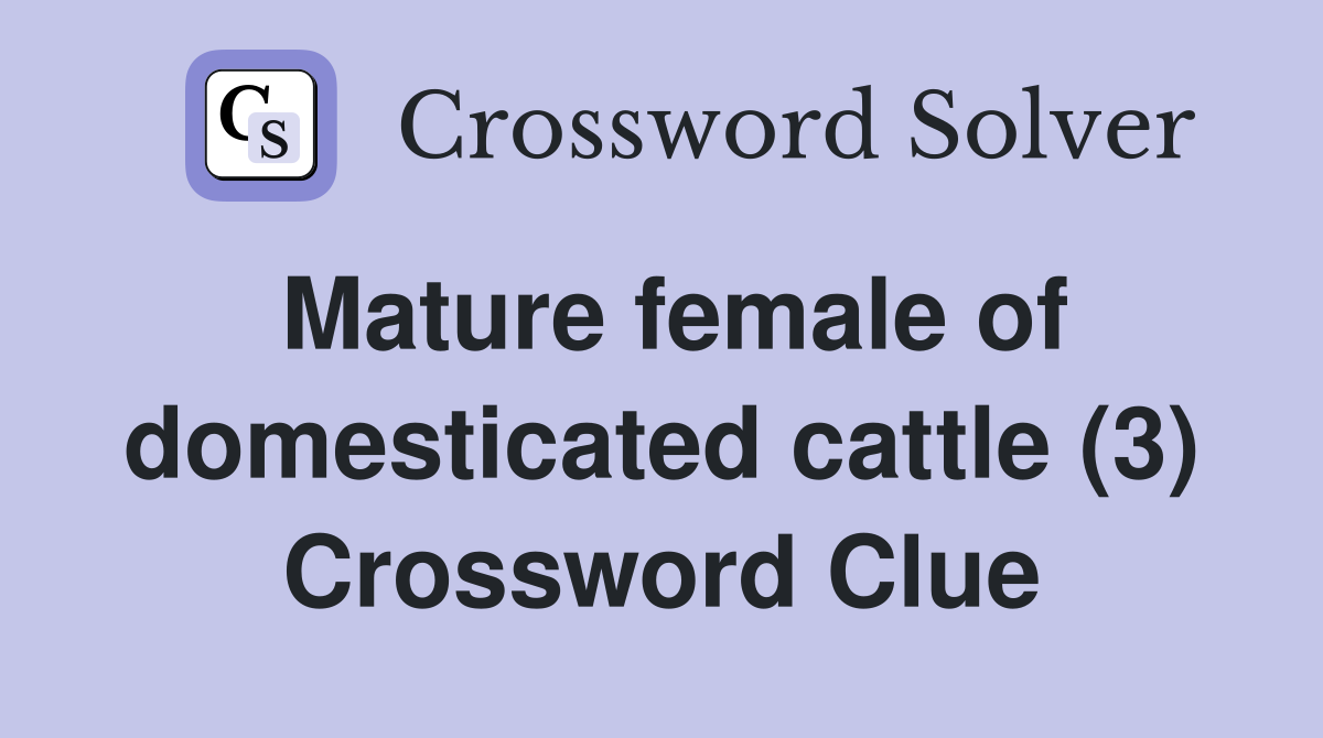 Mature female of domesticated cattle (3) Crossword Clue