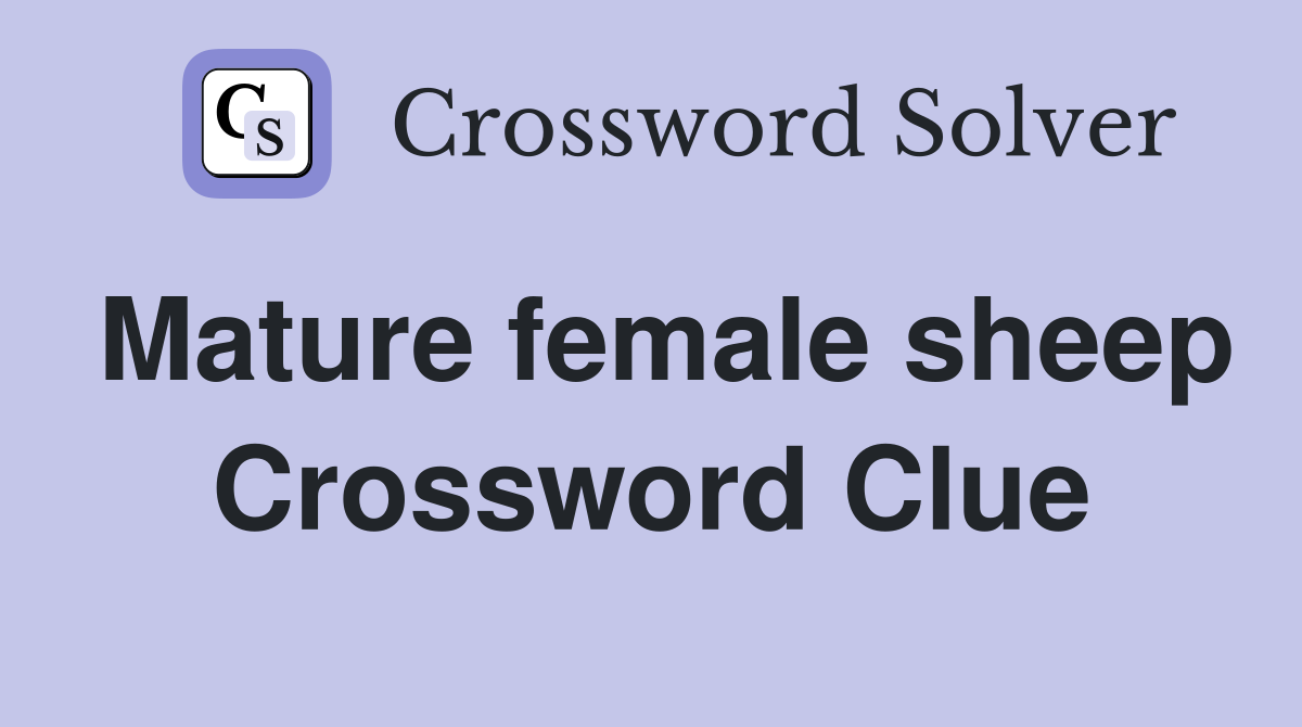 Mature female sheep Crossword Clue